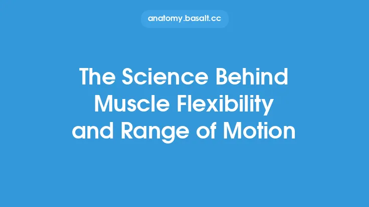 The Science Behind Muscle Flexibility and Range of Motion Thumbnail