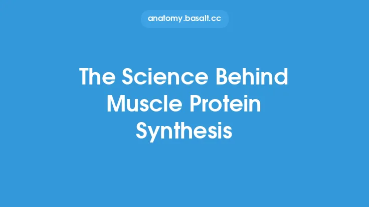 The Science Behind Muscle Protein Synthesis Thumbnail