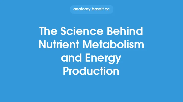 The Science Behind Nutrient Metabolism and Energy Production Thumbnail