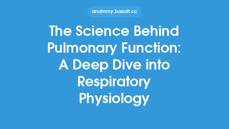 The Science Behind Pulmonary Function: A Deep Dive into Respiratory Physiology Thumbnail