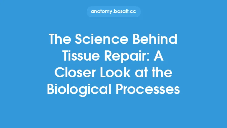 The Science Behind Tissue Repair: A Closer Look at the Biological Processes Thumbnail