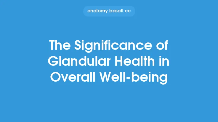 The Significance of Glandular Health in Overall Well-being Thumbnail