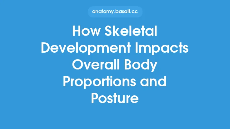 How Skeletal Development Impacts Overall Body Proportions and Posture Thumbnail