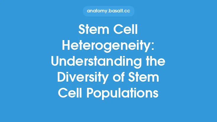 Stem Cell Heterogeneity: Understanding the Diversity of Stem Cell Populations Thumbnail