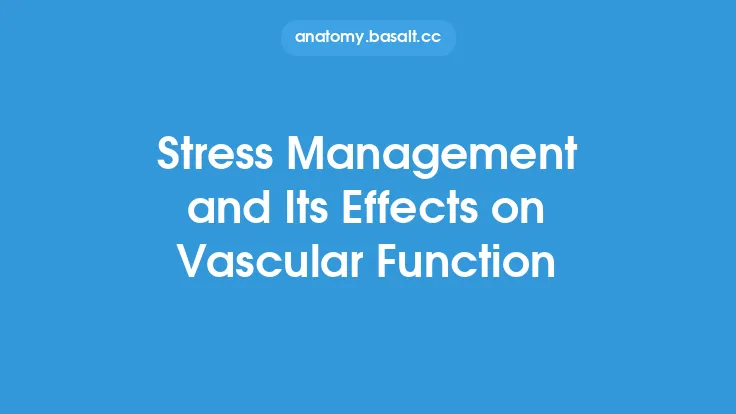 Stress Management and Its Effects on Vascular Function Thumbnail