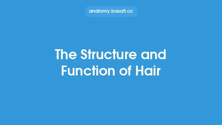 The Structure and Function of Hair Thumbnail