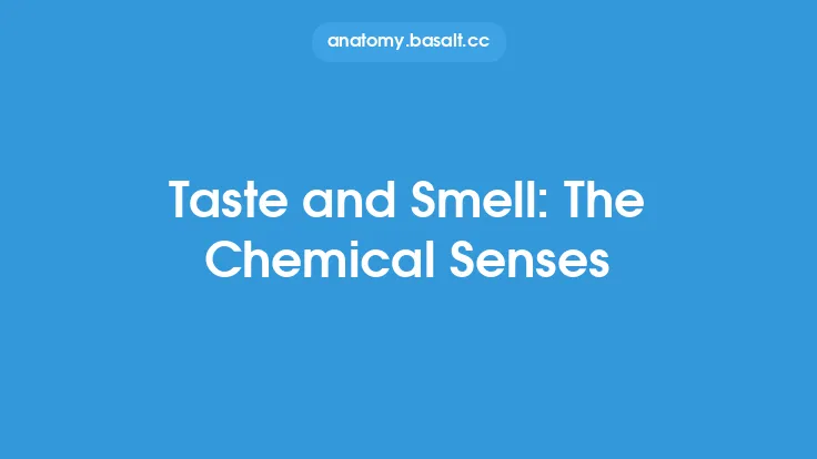 Taste and Smell: The Chemical Senses Thumbnail