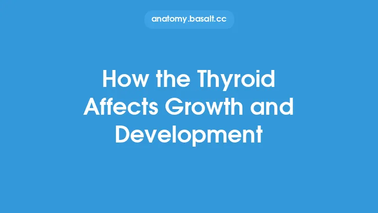 How the Thyroid Affects Growth and Development Thumbnail
