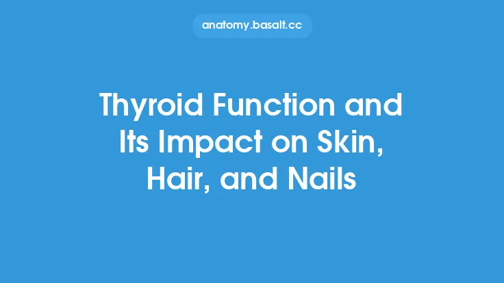 Thyroid Function and Its Impact on Skin, Hair, and Nails Thumbnail
