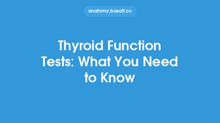 Thyroid Function Tests: What You Need to Know Thumbnail