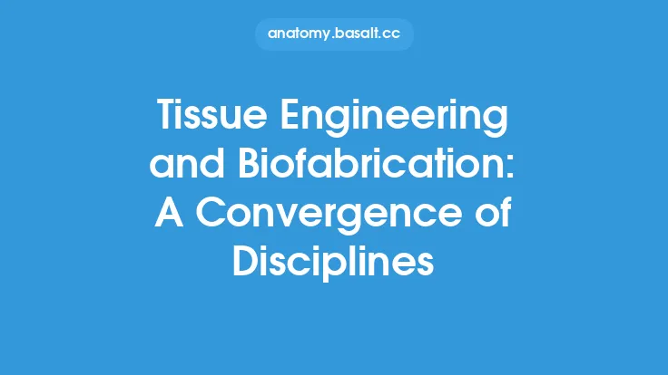 Tissue Engineering and Biofabrication: A Convergence of Disciplines Thumbnail