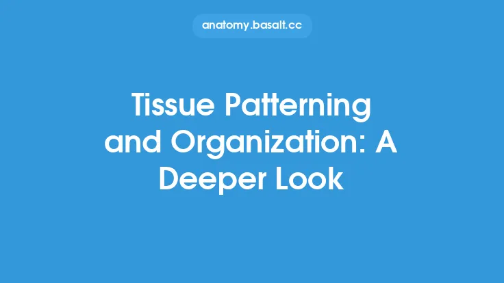 Tissue Patterning and Organization: A Deeper Look Thumbnail