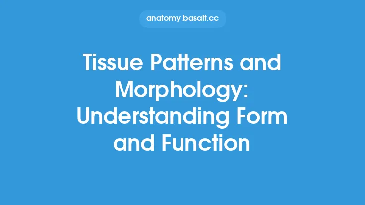Tissue Patterns and Morphology: Understanding Form and Function Thumbnail