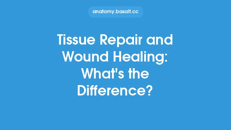 Tissue Repair and Wound Healing: What