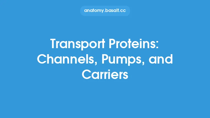 Transport Proteins: Channels, Pumps, and Carriers Thumbnail