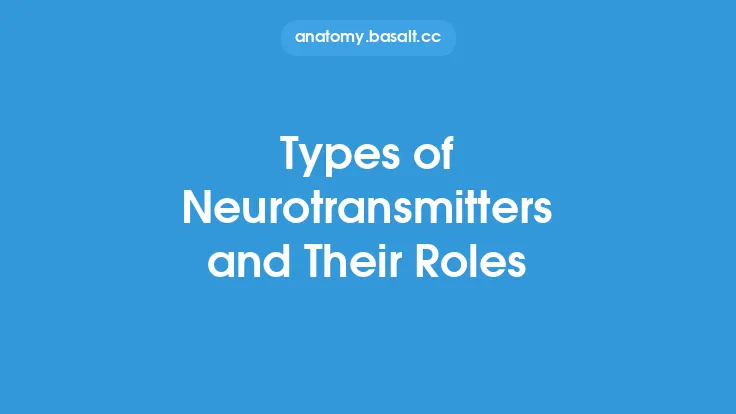 Types of Neurotransmitters and Their Roles Thumbnail
