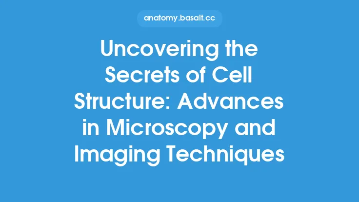 Uncovering the Secrets of Cell Structure: Advances in Microscopy and Imaging Techniques Thumbnail