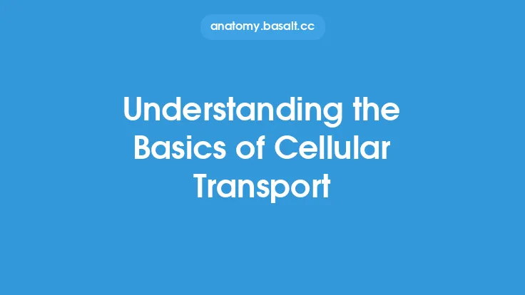 Understanding the Basics of Cellular Transport Thumbnail