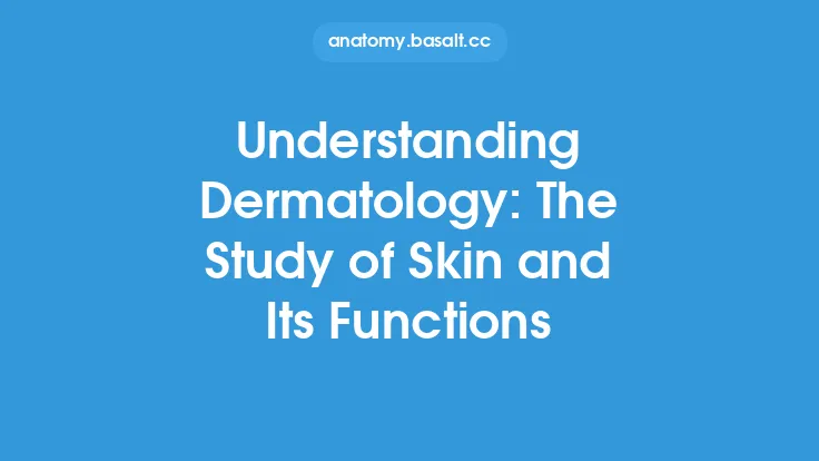 Understanding Dermatology: The Study of Skin and Its Functions Thumbnail