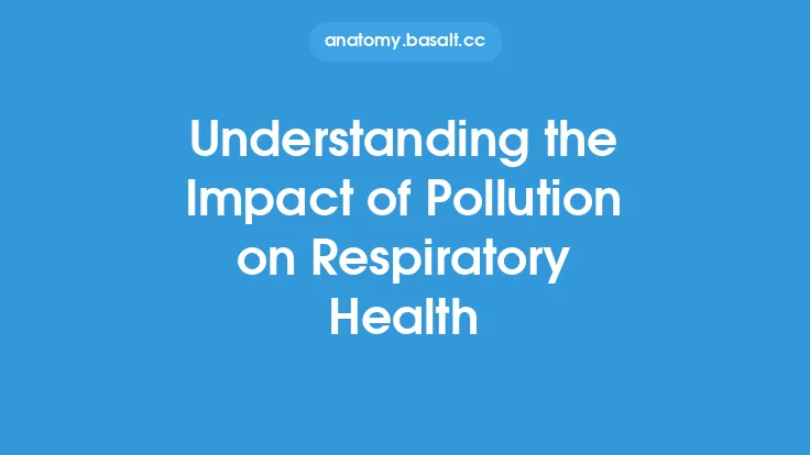 Understanding the Impact of Pollution on Respiratory Health Thumbnail