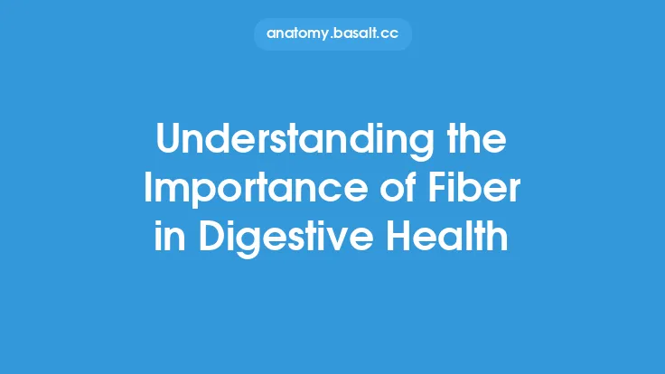 Understanding the Importance of Fiber in Digestive Health Thumbnail