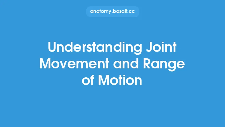 Understanding Joint Movement and Range of Motion Thumbnail