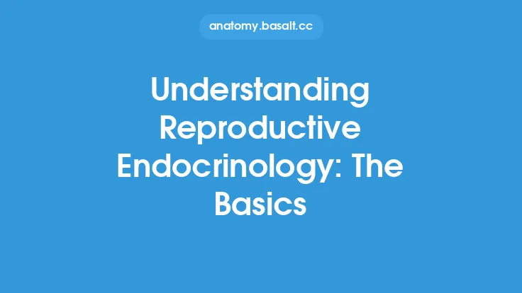 Understanding Reproductive Endocrinology: The Basics Thumbnail