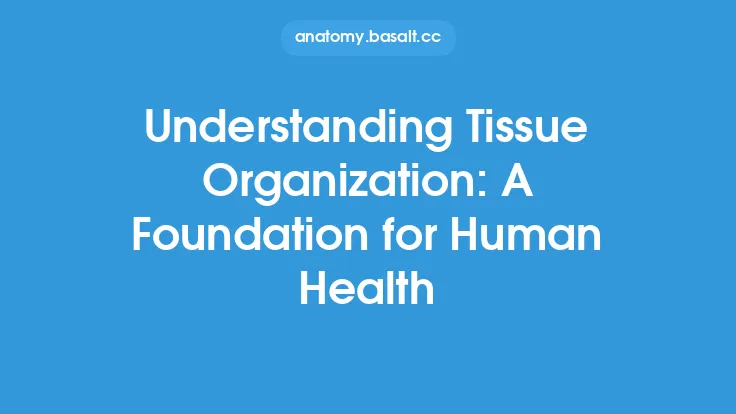 Understanding Tissue Organization: A Foundation for Human Health Thumbnail