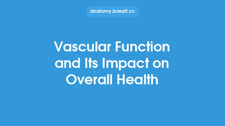 Vascular Function and Its Impact on Overall Health Thumbnail