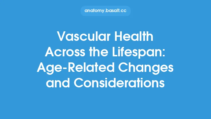 Vascular Health Across the Lifespan: Age-Related Changes and Considerations Thumbnail