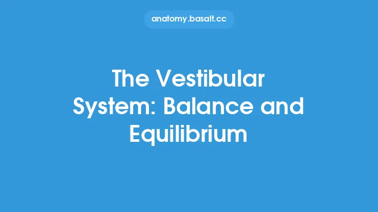The Vestibular System: Balance and Equilibrium Thumbnail