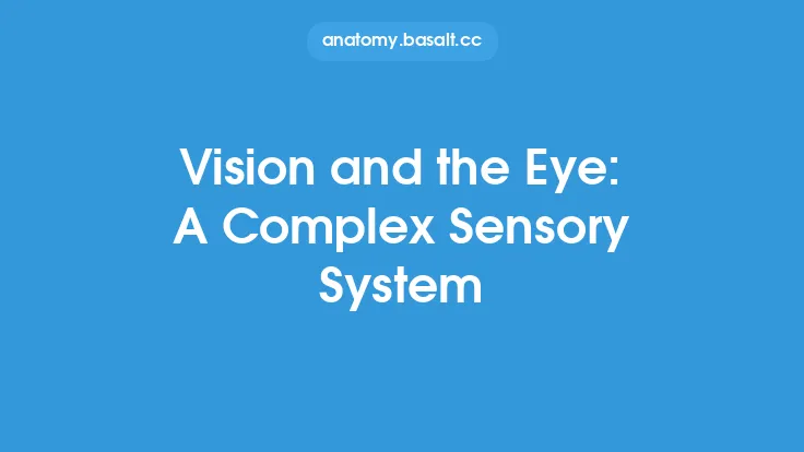Vision and the Eye: A Complex Sensory System Thumbnail